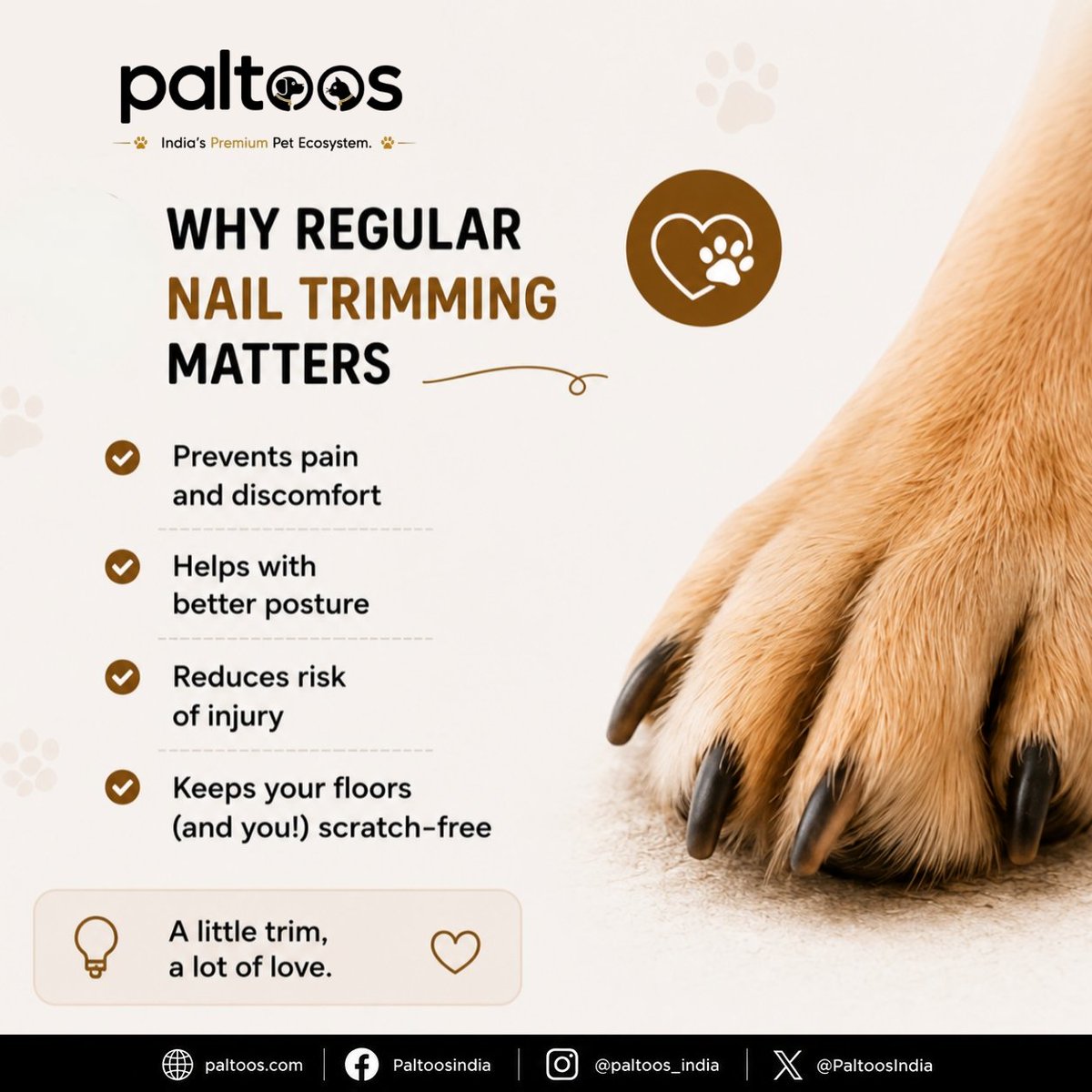 PaltoosIndia's tweet photo. Small grooming habit, big difference for your dog’s comfort. 🐾✂️

 Regular nail trimming helps prevent pain, supports better posture, and keeps those paws healthy🐶❤️

#DogCare #PetCare #DogGrooming #HealthyPaws #Paltoos https://t.co/DmSwgCs4jl