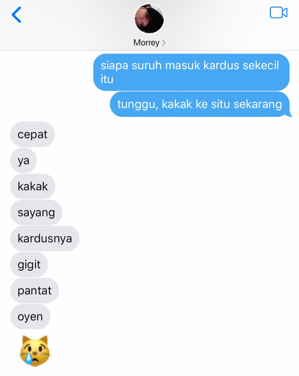 fiplosofi's tweet photo. udah dibeliin kasur mahal malah suka tidur di kardus https://t.co/IXPNQKyin2