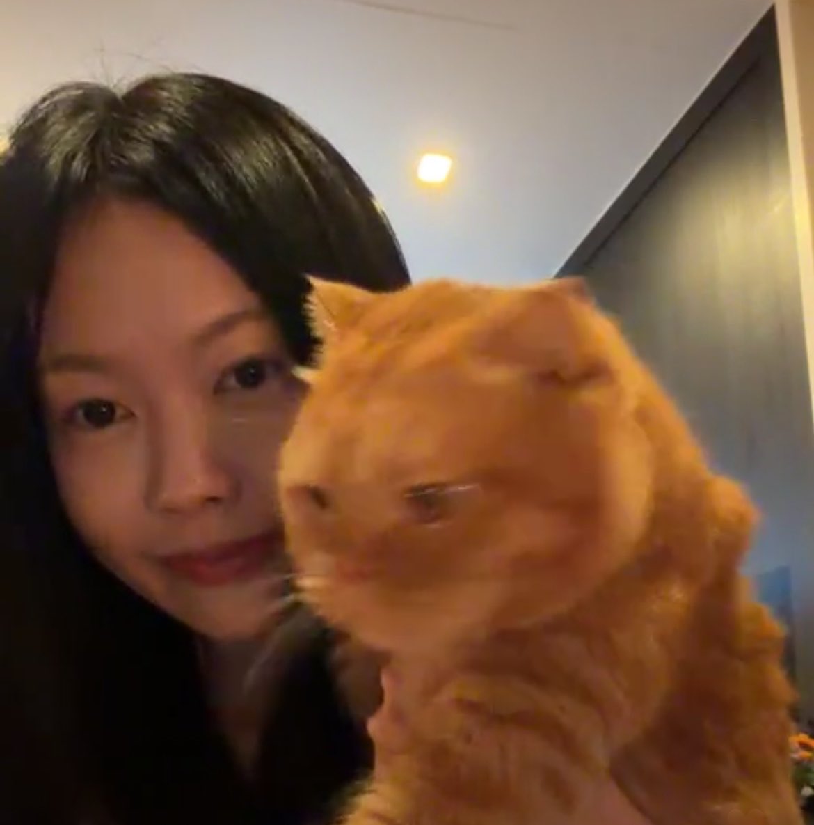 p0rmor15's tweet photo. ในนี้มีแมวสองตัว 🐈🐈

#Pimma_PiXXiE #PiXXiE https://t.co/k9WkC9lCQk