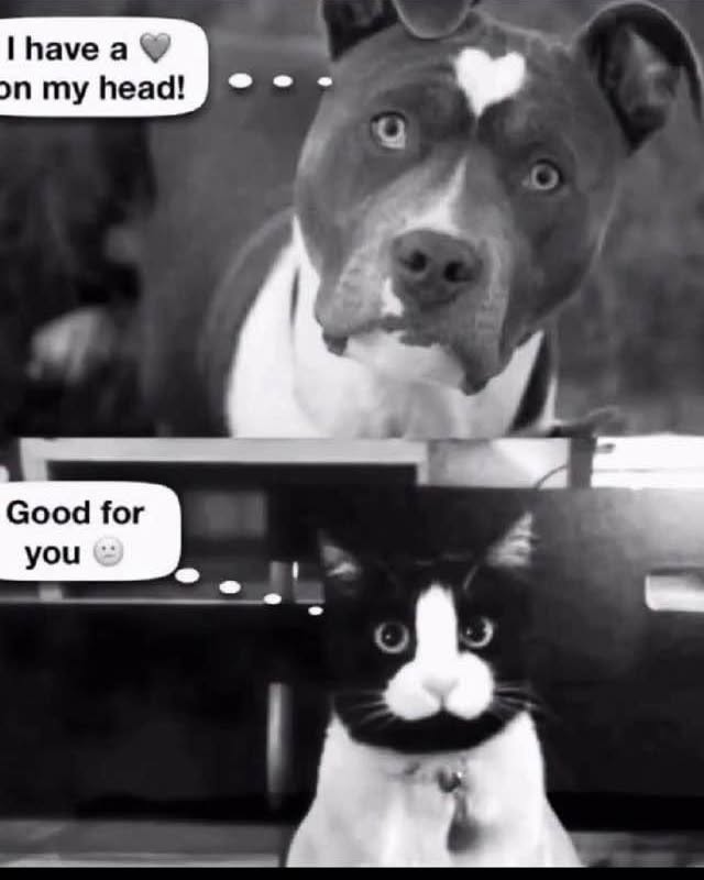 CDavid48187's tweet photo. Your morning, chuckle.... https://t.co/BhC5Esp80g