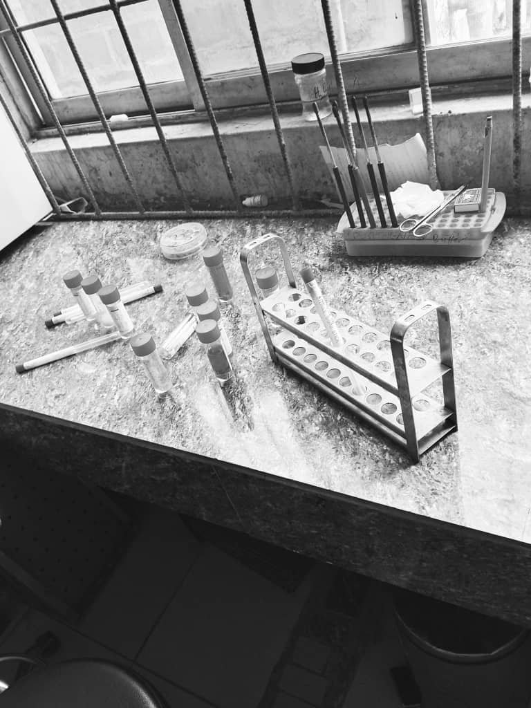 Olamilekan1404's tweet photo. One thing about Medical Laboratory Science:

A patient may look perfectly fine…

…but the laboratory can tell you a completely different story. 🧪🩸

That’s why I’ll always say:

“No lab test, no complete diagnosis.” 🔬

MLS students, make some noise! 🧪🔥 https://t.co/B5y8Ops52B
