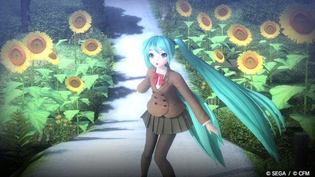 tomy350's tweet photo. ひまわり撮影行きたかったな
#ガチ撮影勢　#DIVAAC https://t.co/JbMFWxDSWb