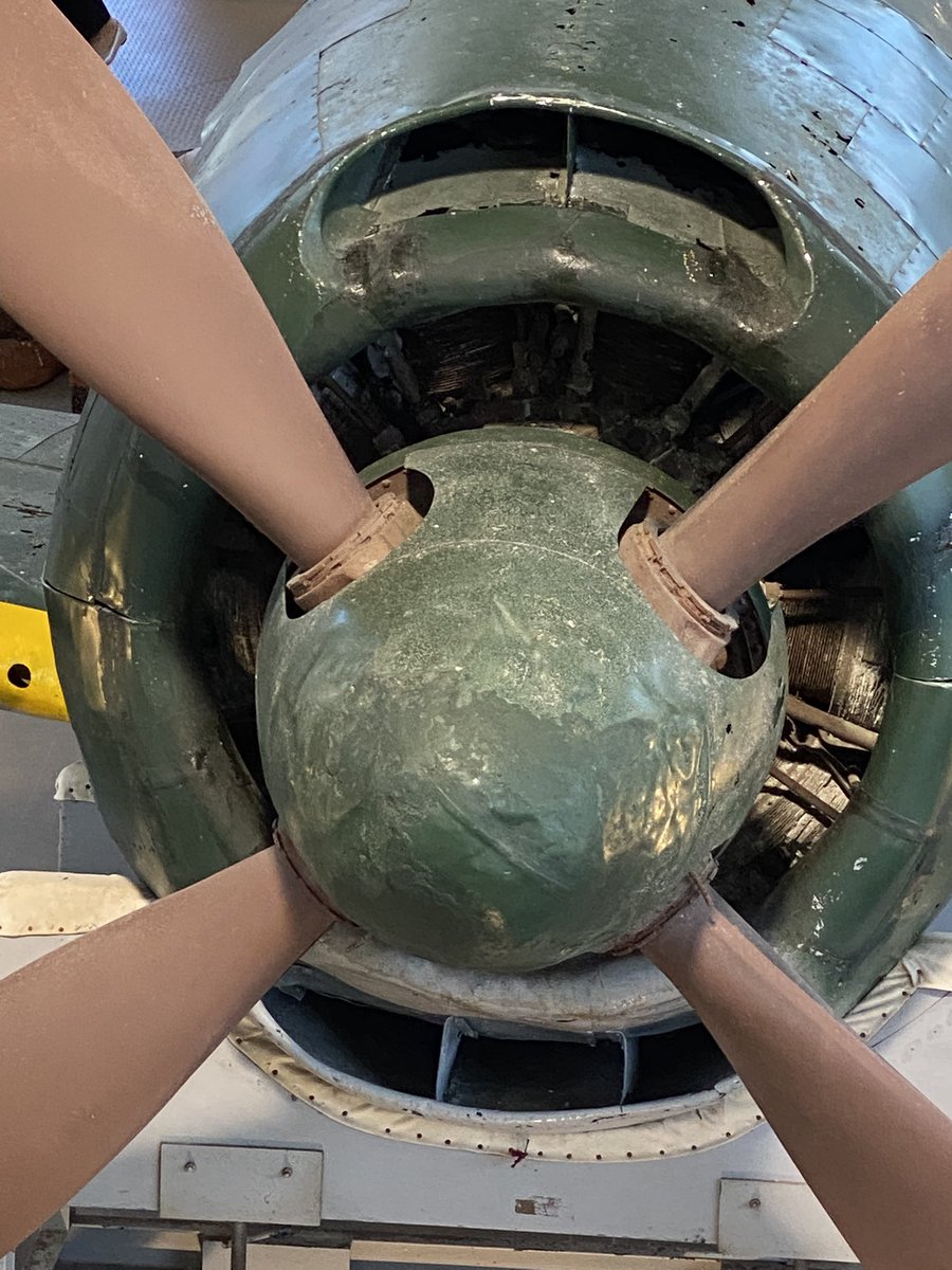 ekatopep's tweet photo. 日曜は久しぶりのソロツー^ ^
駐車場は満パン。
この機体、九州の大村から出撃してたとか…
明日からもうしばらく見れないのね…

その後、こうも岬へ！
景色いいけど暑すぎた🫠
灯台の裏に隠しダンジョンめっけ‼️獣道を進むと岬の先っぽ下へ✨
でも崖を虎ロープだし、またデカい猪逃げたし怖かった。 https://t.co/OXfSSvG8lJ