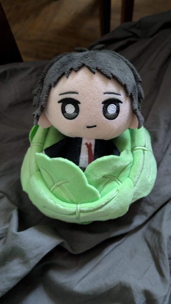 FiletTerror's tweet photo. cabbage man 
#persona4 #tohruadachi https://t.co/jAvWVb5pN9