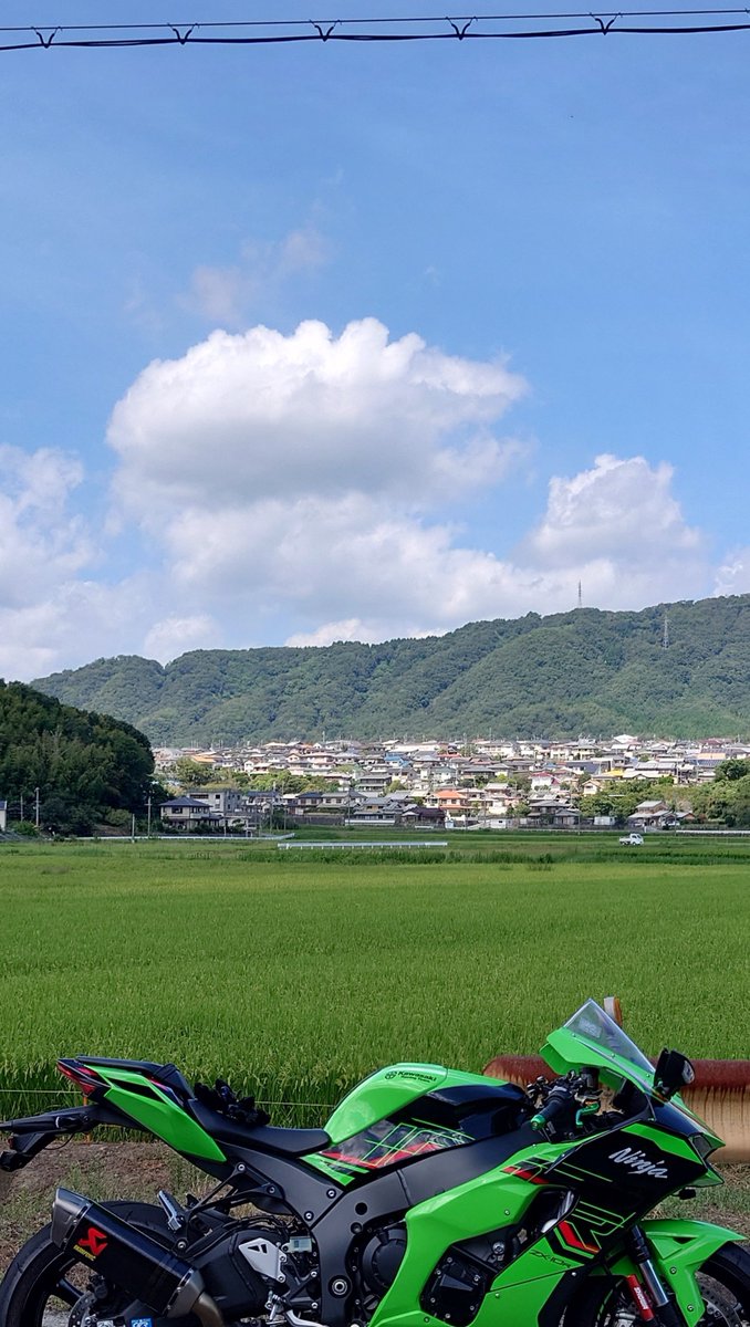momoiwaka's tweet photo. https://t.co/9yRUY8XAAO