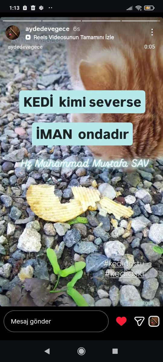 hlygrtkn's tweet photo. @gamzeyazgan34 @TCTarim @ibrahimyumakli @tcbestepe https://t.co/f1m7zzSWFj