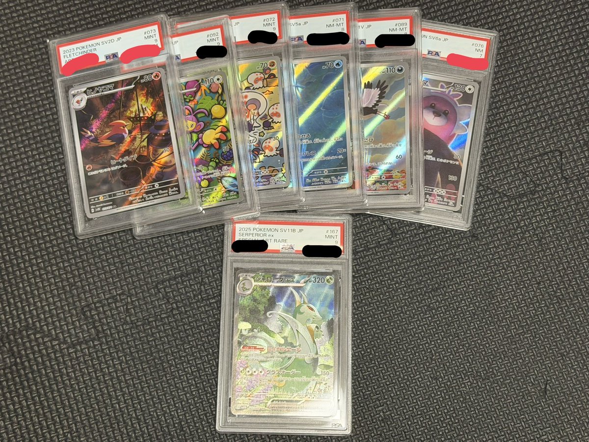 shell2_pokeca's tweet photo. 🎁🔥24時間限定ゲリラプレゼント🔥🎁

抽選で1名様に…

🦖 PSA9以下詰め合わせをプレゼント🎁

参加方法👇
✅ @DinoTre_oripa をフォロー
✅ このポストをリポスト♻️

⏰24時間後〆

フォロー＆リポストだけで参加完了🔥
ぜひご参加ください🦖⛏️ https://t.co/YCFZTLQMsT