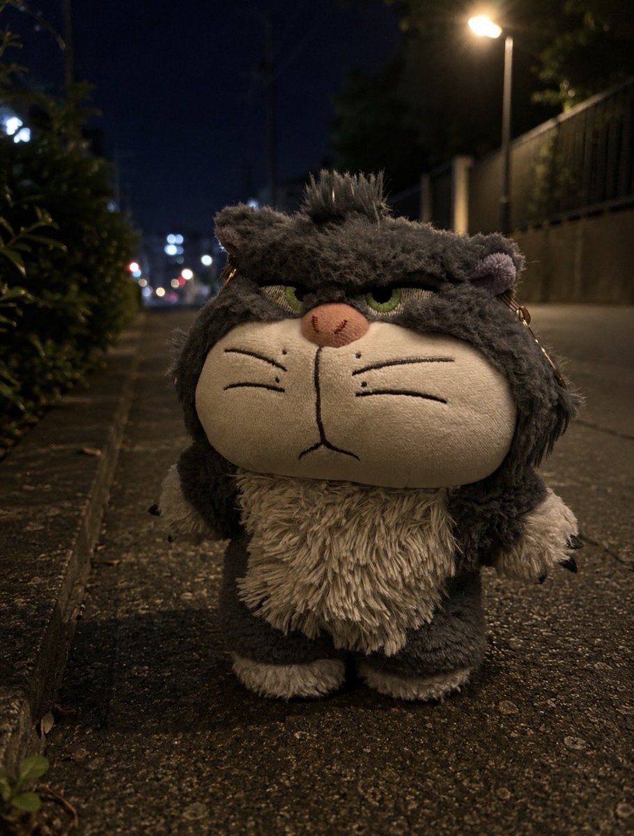 princelucifer77's tweet photo. 夜のお散歩たのしいにゃあ🐾

#ぬい活
#ぬい撮り
#お散歩 https://t.co/vEXuliu17y