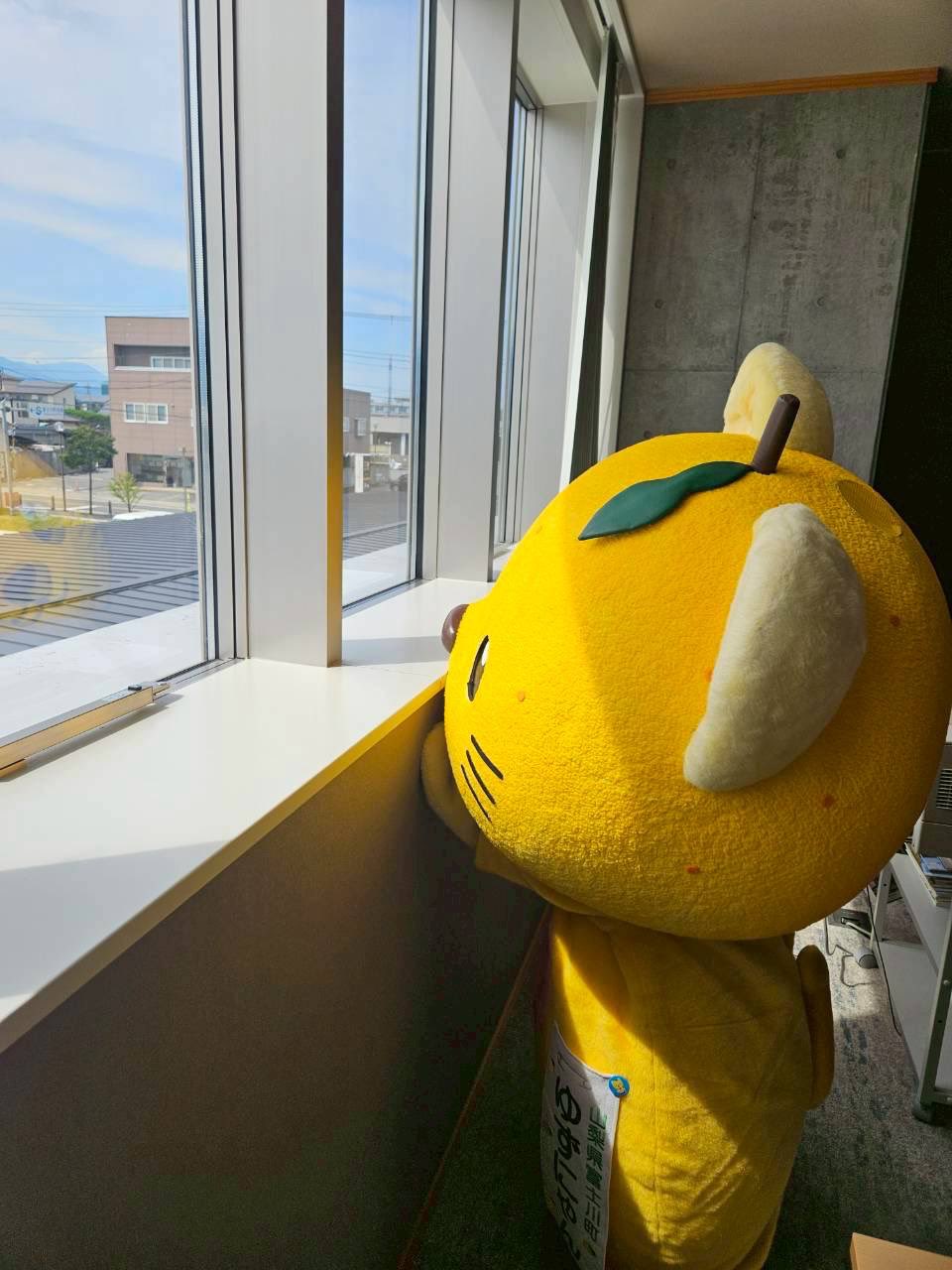 ゆずにゃん【山梨県富士川町】 в X: „8月最後の日にゃ。 #野菜の日
