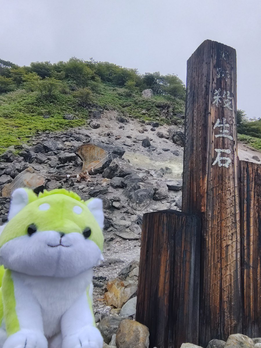 hakoitsu's tweet photo. 殺生石を訪れたポンタその1。

日本人は硫黄(硫化水素)の匂いを嗅ぐと温泉をイメージすることが多いけど、西洋をはじめ海外ではモンスターの発生などの不吉なものをイメージさせるのだとか。作中の異世界もそうなのかな？

#ポン旅 #骸骨騎士様2  #栃木県 https://t.co/vBVgLoULHj