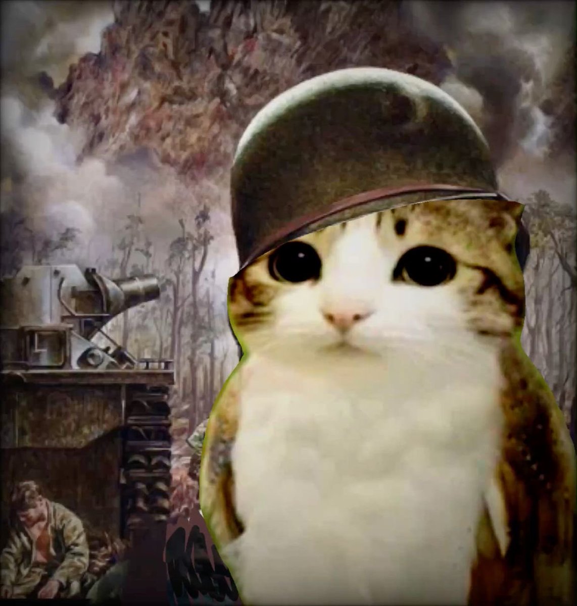 meowlposter's tweet photo. he has witnessed horrors u can’t even imagine https://t.co/50AbN1cNwa