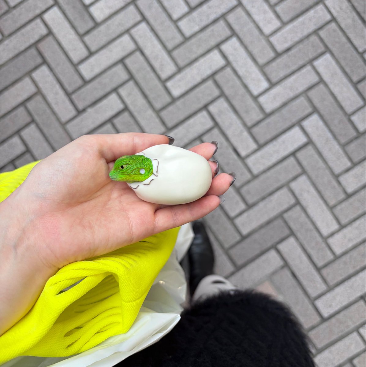 kimkokokoha's tweet photo. 爬虫類一番くじ13回引いた🦎

げっ歯類一番くじの販売もどうかお願いします https://t.co/xXXiWi1bYo