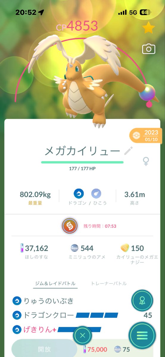 bigbenEX's tweet photo. やっぱ可愛いわメガカイリュー https://t.co/V6kFoRdowS