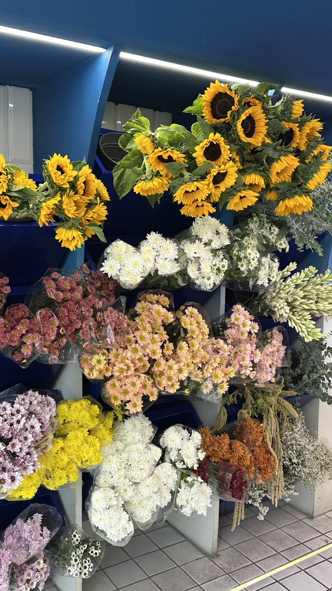 melikaatalebi's tweet photo. از گل قشنگ تر تو دنیا وجود نداره✨ https://t.co/5W3bVUZQo2