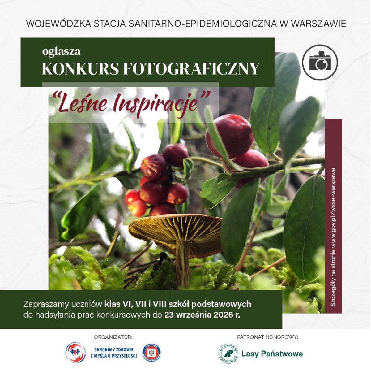 ZdroweMazowsze's tweet photo. Zapraszamy uczniów mazowieckich szkół podstawowych z klas VI-VIII do udziału w konkursie „Leśne inspiracje”🍄‍🟫🌳🍁

Do 23 września czekamy na zdjęcia grzybów w ich naturalnym środowisku. 

Więcej informacji 👉 https://t.co/dV36PoKes3 https://t.co/74rEKbG44Z