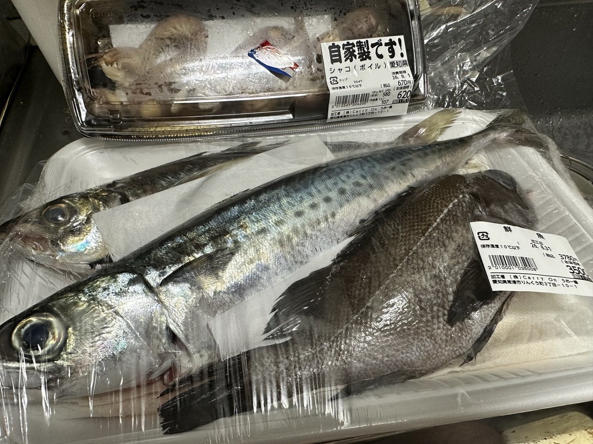 TMHorn30's tweet photo. うお一番の対面コーナーで買った

マアジ
サバ
メバル
ボイル済のシャコ

そろそろやるかねぇ

捌いていくっ！

#うお一番 
#芹澤水産 https://t.co/ua3XSGb4ix