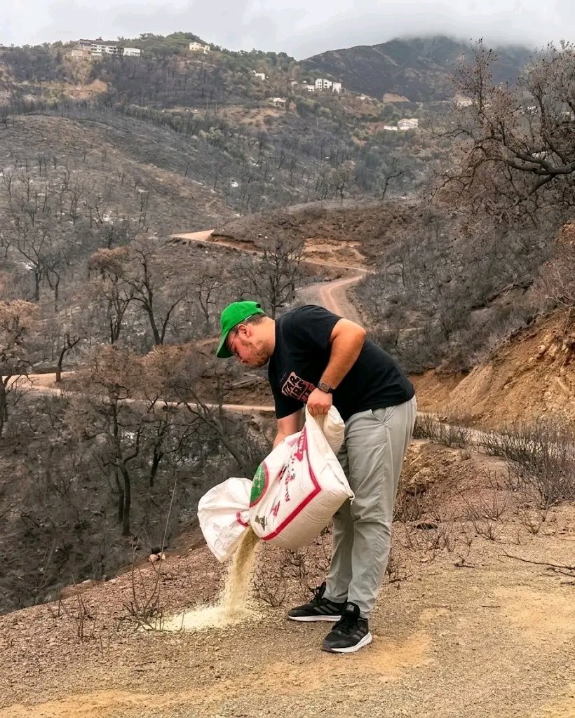 Djazairia213_'s tweet photo. 📸 En images… Après les incendies, des jeunes Algériens sèment des graines sur les montagnes de Béjaïa 🌱🕊️ pour nourrir les animaux et les oiseaux. 

Un geste simple, plein d’espoir, pour aider la nature à renaître. 🇩🇿❤️ https://t.co/Wal1isalBZ