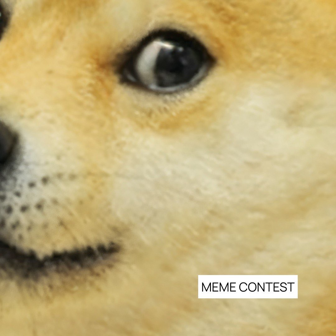 raccoonline_vpn's tweet photo. Hey, partners in crime! 🦝

Your mission is simple:

cheer Aaron up with your best memes! 😎

📌 How to enter:

- Create an original meme featuring Aaron
- Post it in the replies
- Include your USDT (TRC-20) wallet address

Each winner will receive $10 USDT. 💸

The number of winners depends on the total number of eligible participants:

⏺️ Up to 29 participants — 3 winners

⏺️ 30–49 participants — 5 winners

⏺️ 50–69 participants — 7 winners

⏺️ 70+ participants — 10 winners

⏰ The contest ends in 48 hours.

We’ll choose the most creative memes. 👀🏆

Make Aaron laugh🦝