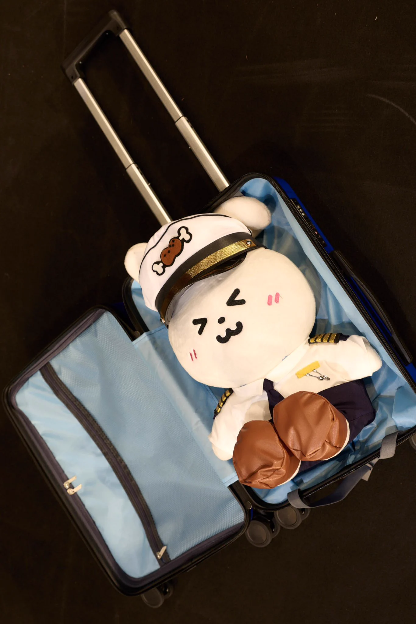 ハラミちゃん詰め合わせ ハラミちゃん🍖🎹47都道府県ツアー！ on X: 