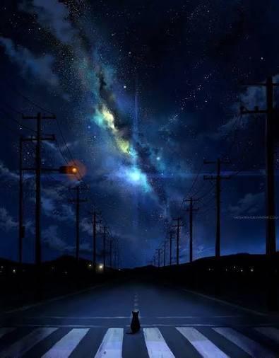 ridicufacts's tweet photo. 夜空を背景に、送電線が星の川へとつながり、一匹の猫が夜明けを待って佇んでいる。 https://t.co/5VbeIUHVtJ