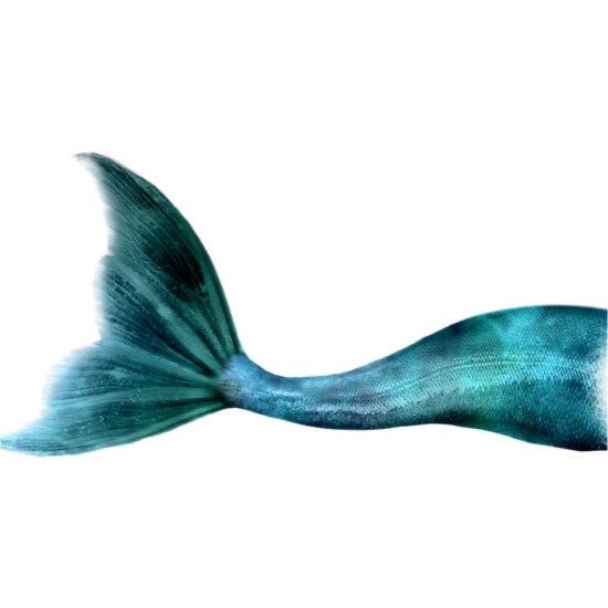 ryulmaniacs's tweet photo. mermaid tah iki https://t.co/Sa5OZe6biz