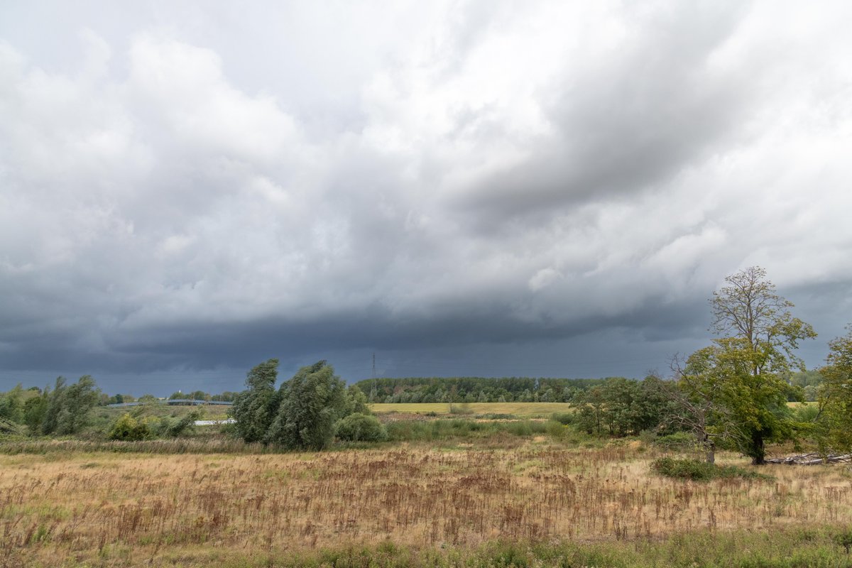 AgnesParijs's tweet photo. Agnes Van Parijs, Mechelen om 11u09
#vrtweer https://t.co/4673TAvo3Y