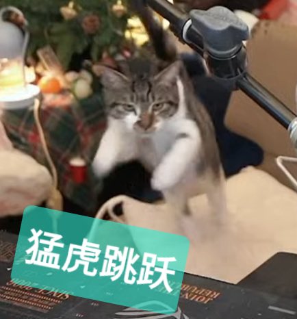 yifaer_chen's tweet photo. 今天回血17w哈，主要是我的重仓淳中科技涨了点，还有小仓位的掌阅科技涨停了。（但这只票还亏十几个点，难受）

这几天失眠一觉醒来已经收盘了。

我还以为沃什的鹰派发言会把大盘搞崩呢，没想到大A居然低开高走，红了。厉害了我的A。 https://t.co/ONVkQMBWeI
