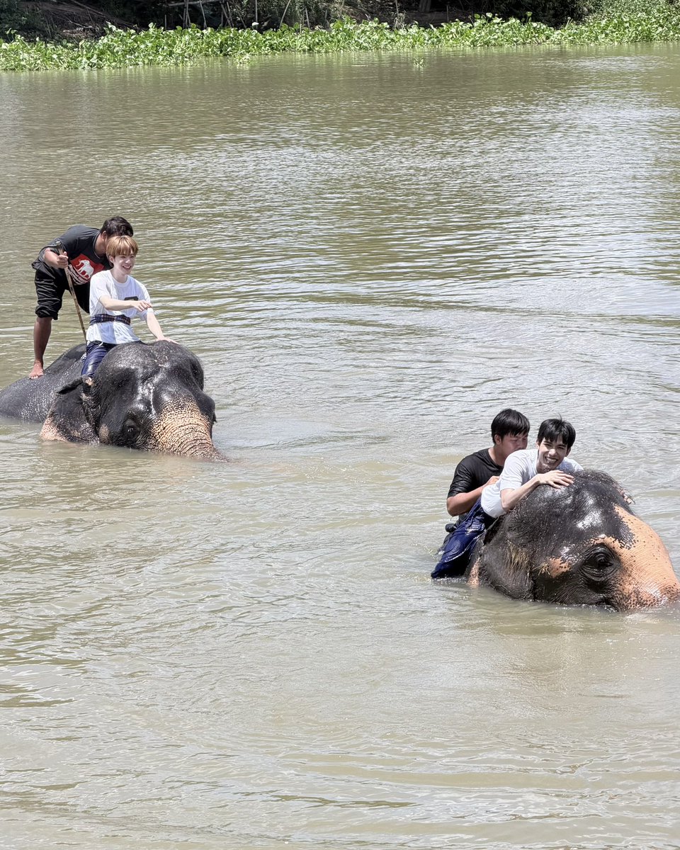 netsiraphop's tweet photo. น้องช้างไอยราซนมากแต่น่ารักให้อภัยครับ 🐘 #netsiraphop https://t.co/GIumw3eXyj