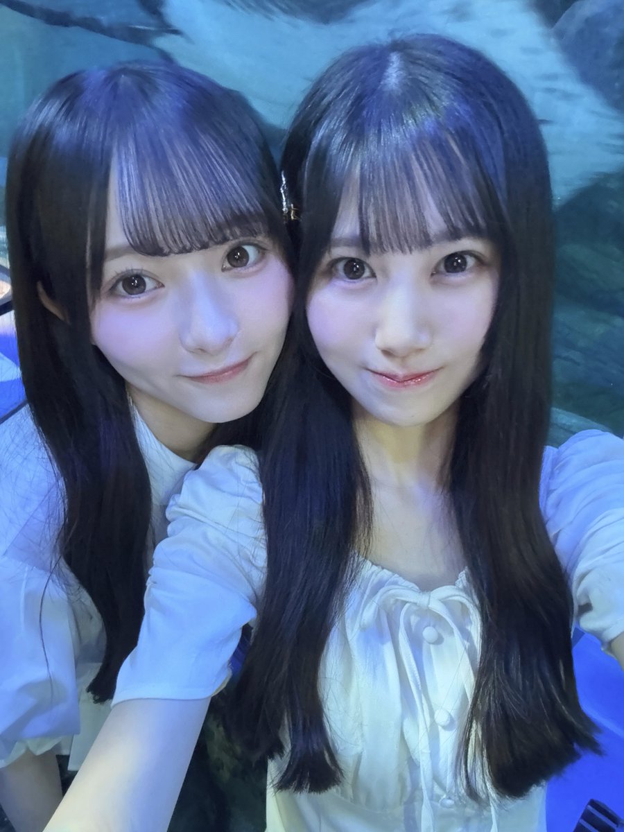 blog_photo_bot's tweet photo. #鶴崎仁香 『なつやすみ』
#にこにこぶろぐ
https://t.co/7HaVWfFYOl

#片山紗希 https://t.co/w0JrK6Bac0