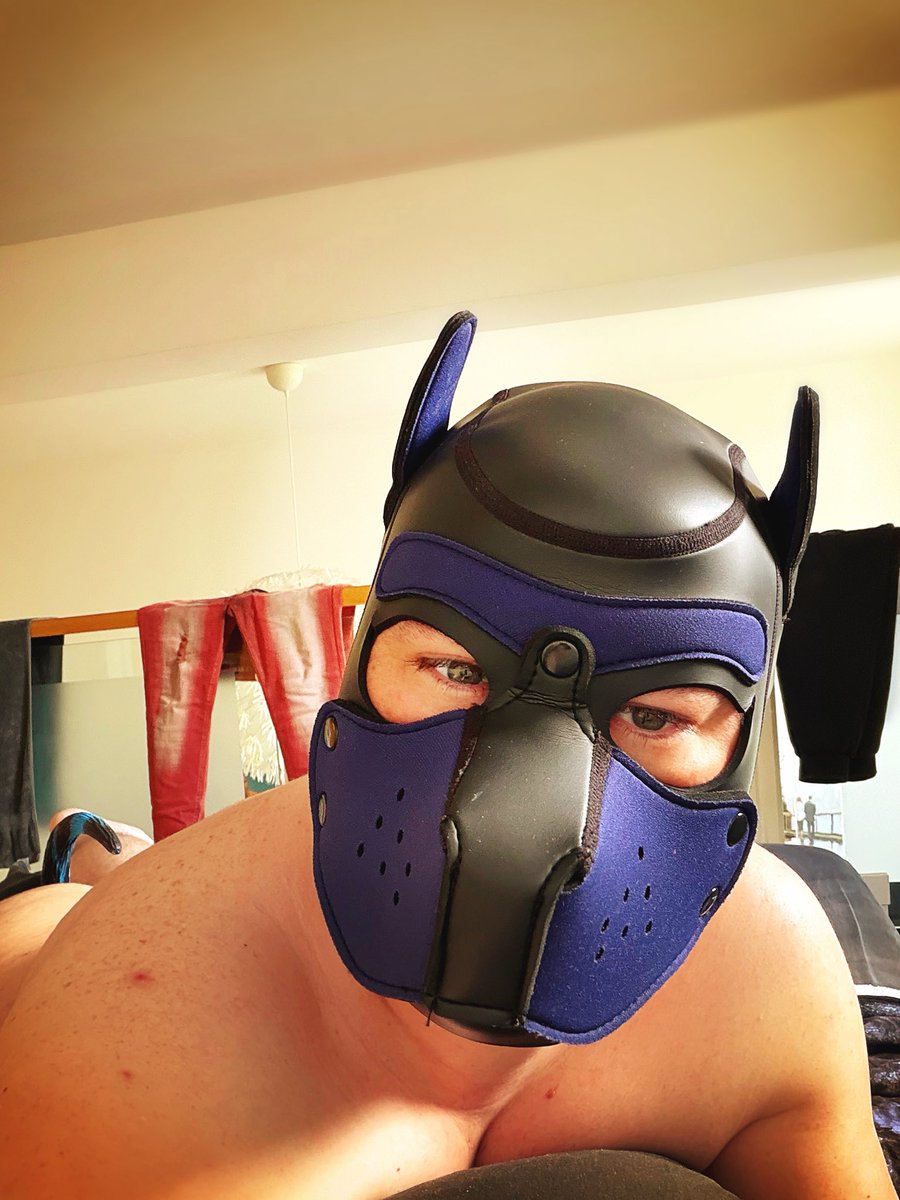 JazperBlueII's tweet photo. When a pup find the time to chill and wag its tail 😛🐾…

#pupplay #humanpup https://t.co/9acONqcXRx