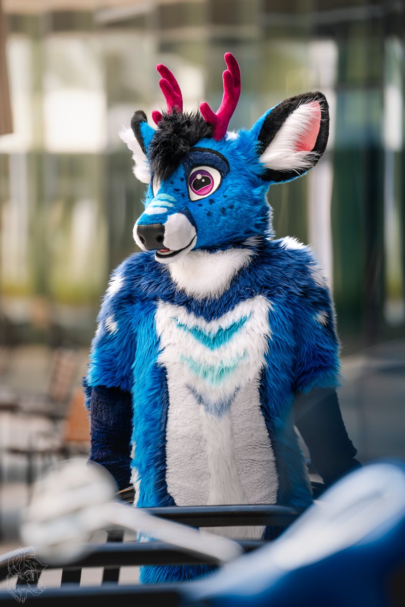 vlaaacek's tweet photo. 🟦

🦌 @BlueBleats https://t.co/OgGYduuZoL