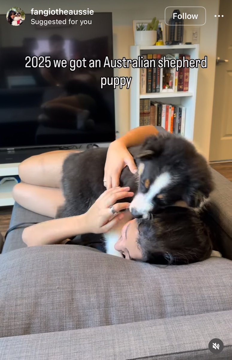 lachancenaomi27's tweet photo. Oh wow you got a dog without researching the breed and ended up fucking him up? No way that’s crazy https://t.co/eA3AgVwPWy