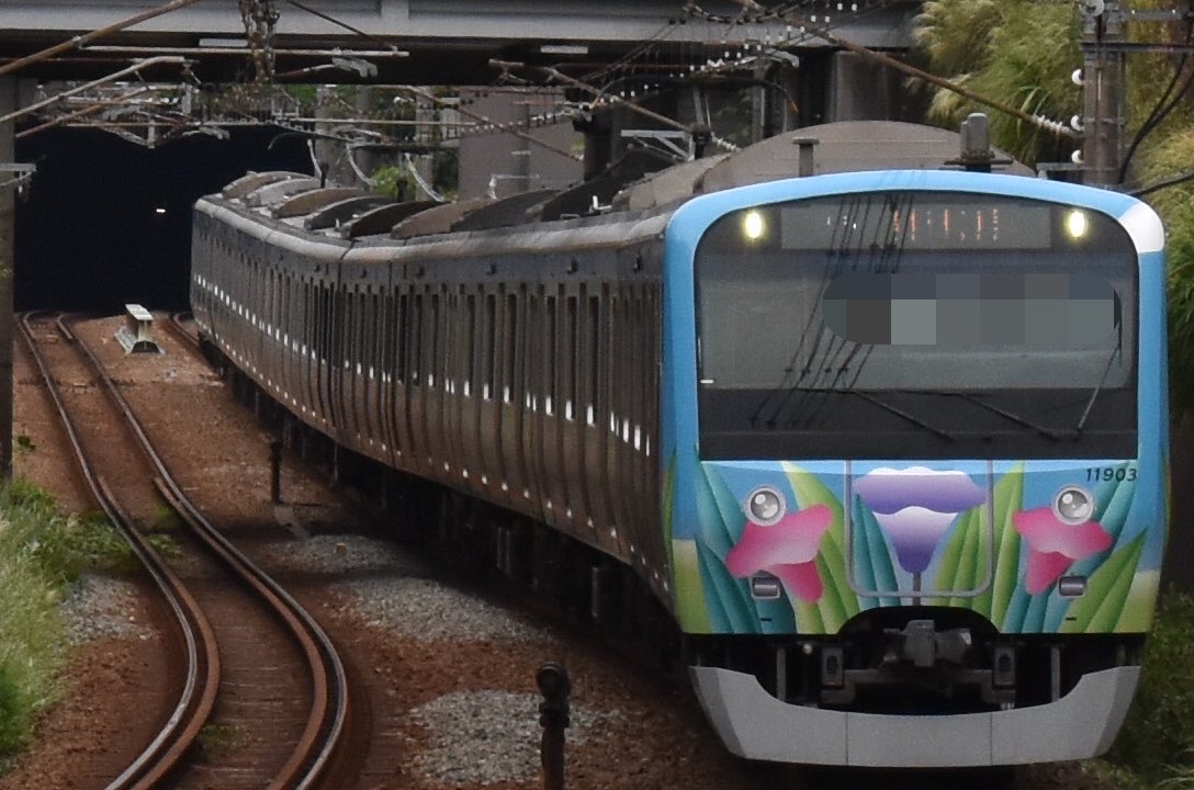 SounyanTrain's tweet photo. 2026.08.30
(運用開始初日日)
相鉄11000系(11003F) ほほえみ号を追っかけてました👍

とても良いラッピングで撮影していて楽しかったです！
自分としてはカメラに前に比べたらだいぶ慣れてきたかなと思いました。 https://t.co/JnX5O4dTsF