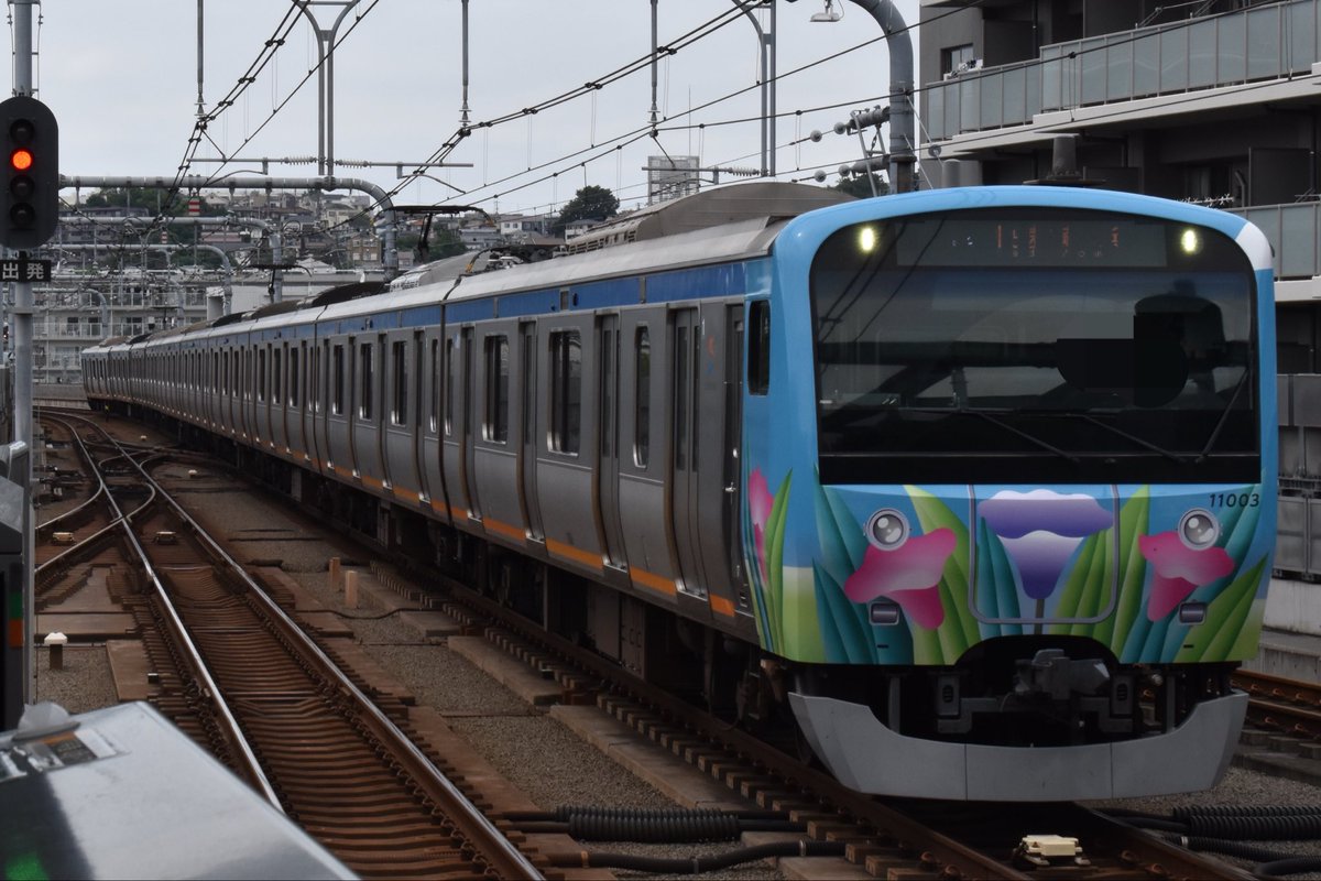 SounyanTrain's tweet photo. 2026.08.30
(運用開始初日日)
相鉄11000系(11003F) ほほえみ号を追っかけてました👍

とても良いラッピングで撮影していて楽しかったです！
自分としてはカメラに前に比べたらだいぶ慣れてきたかなと思いました。 https://t.co/JnX5O4dTsF