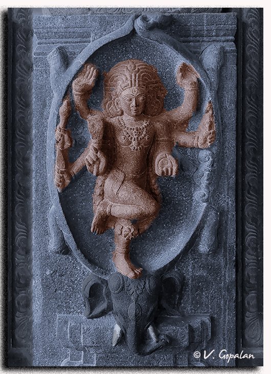 TheGopalan's tweet photo. Wonderful relief of Gaja Samharamurthy.

This is on a pillar in Tiagaraja Swamy temple, Tiruvatriyur, Chennai

This temple has many exquisite sculpture! https://t.co/A65W9pe9Lt