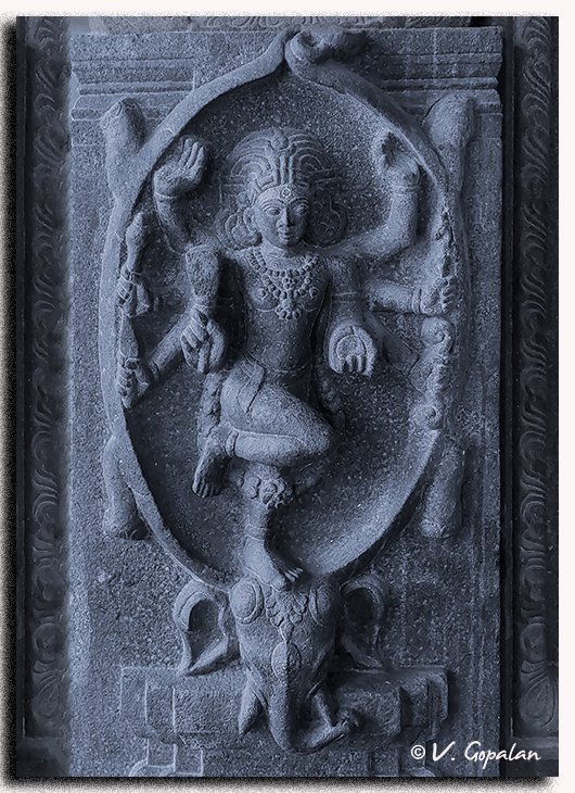 TheGopalan's tweet photo. Wonderful relief of Gaja Samharamurthy.

This is on a pillar in Tiagaraja Swamy temple, Tiruvatriyur, Chennai

This temple has many exquisite sculpture! https://t.co/A65W9pe9Lt