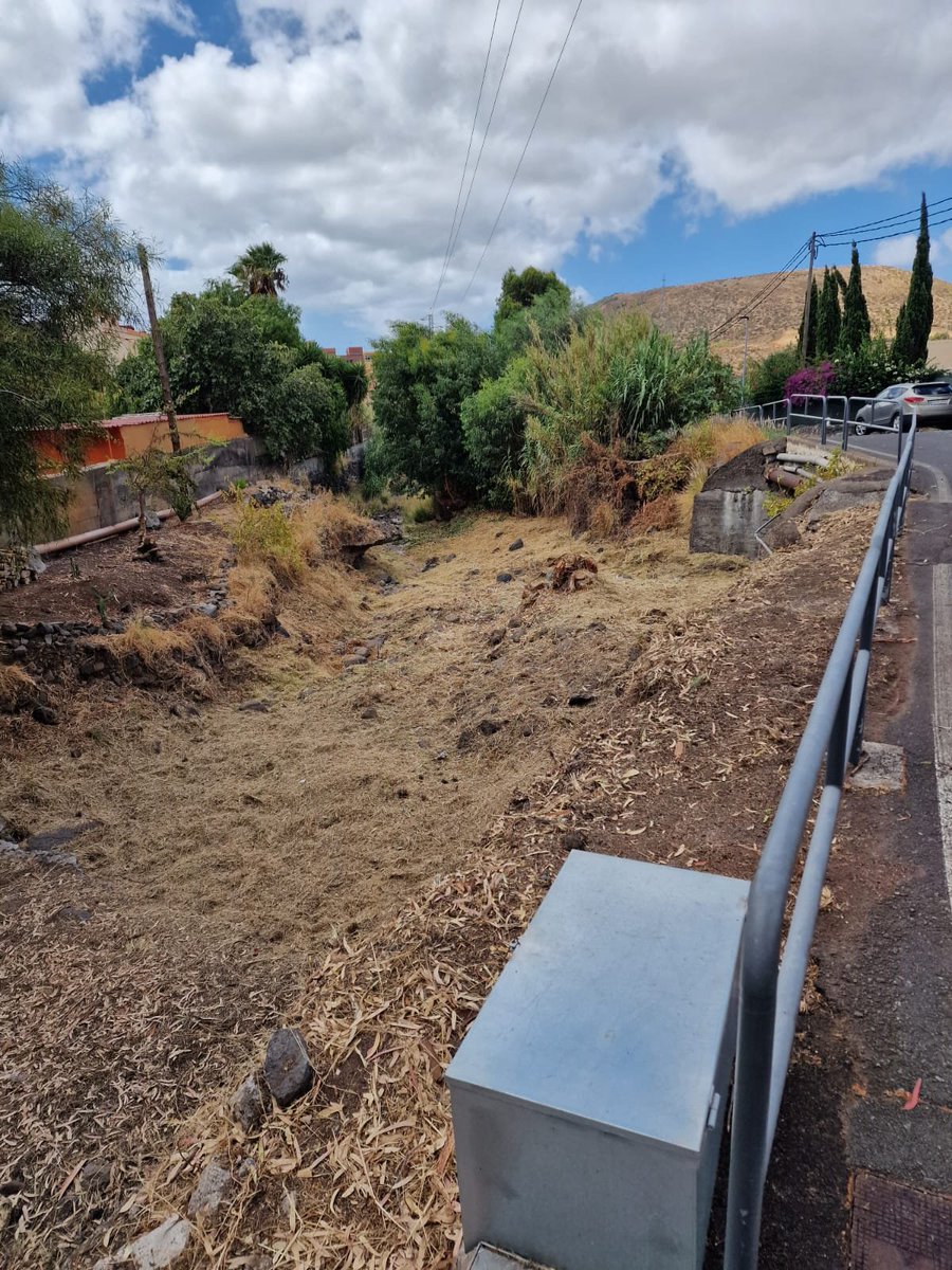 vallejimenez_es's tweet photo. Buenos dias,

Queremos agradecer especialmente al Concejal del Ayuntamiento de la Laguna D. Domingo Galvan por las gestiones para la limpieza del barranco en el proyecto de Medianias y a Gesplan y sus trabajadores por la estupenda labor realizada.👏 https://t.co/tli4N2jIoQ