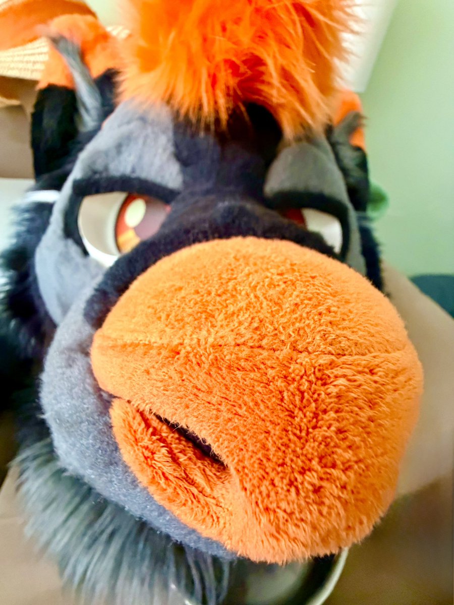 ArcherWoofi's tweet photo. QRT with Snoot
 
🤞🏻wish me luck it stinks #sniff https://t.co/ncyGuQjtcF