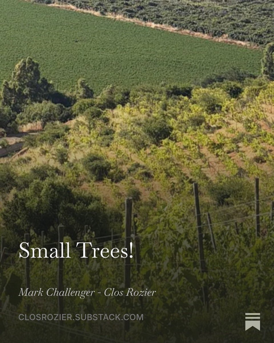 ClosRozier's tweet photo. Five years of neglect left broken posts, tangled wires, vines on the ground, weeds—and small trees growing between the rows.

A year later, the vineyard is finally ready for spring.

https://t.co/w4mABFO29H https://t.co/ORCvcX3lmZ