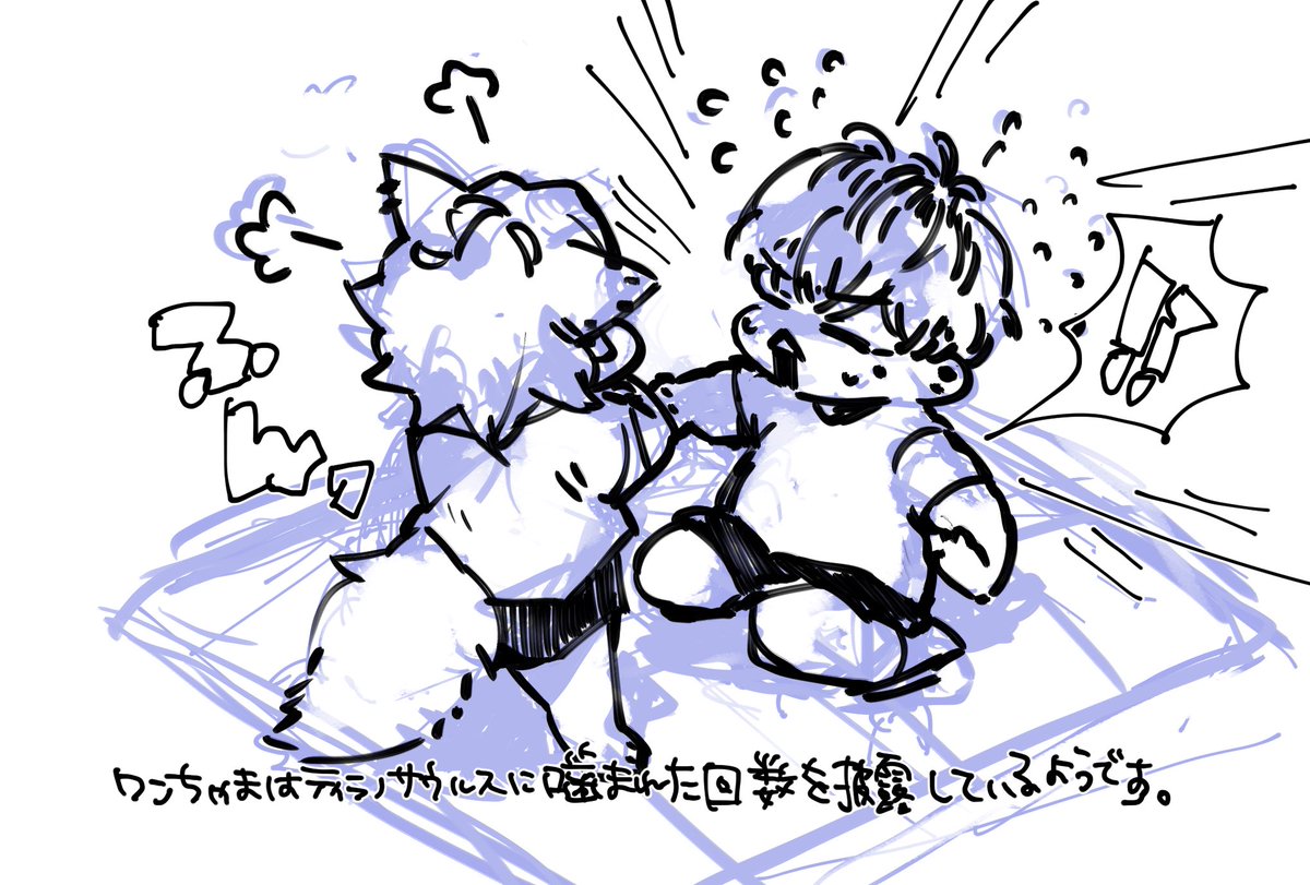ykhrnb's tweet photo. わんちゃまとちびぴ
と◯これの🦖あげた後の自慢の仕方が可愛くて https://t.co/IEJa6RMVp8