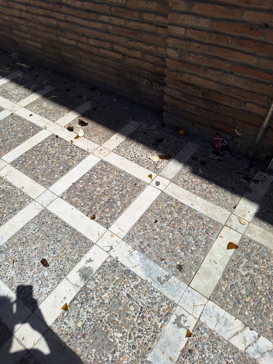 xoco_90's tweet photo. La situación de la plaza de Santa Isabel, es absolutamente dantesca, es un refugio de drogodependientes  que están provocando una falta de higiene totalmente intolerable @eveliarincon @Ayto_Sevilla @jlsanzalcalde es una vergüenza tener que pagar impuestos para soportar vivir así. https://t.co/ASHiA1fVHS