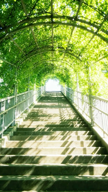 KayleeWebst1cl's tweet photo. 月曜の夜が憂鬱。明日は早起きして出勤か、めんどくせ。

#社会人 https://t.co/t0WIvoejw6