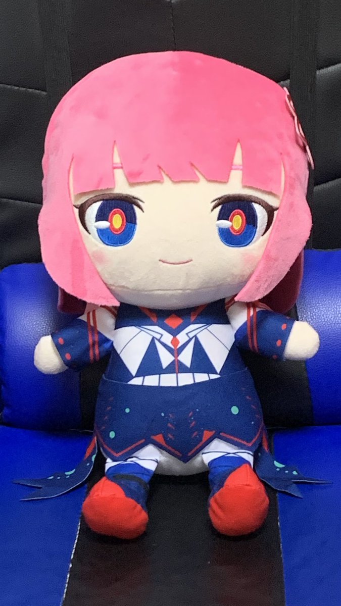 PLASMAXXV's tweet photo. でっかい方の花譜ぬいも来ました https://t.co/tPDev4m7rN