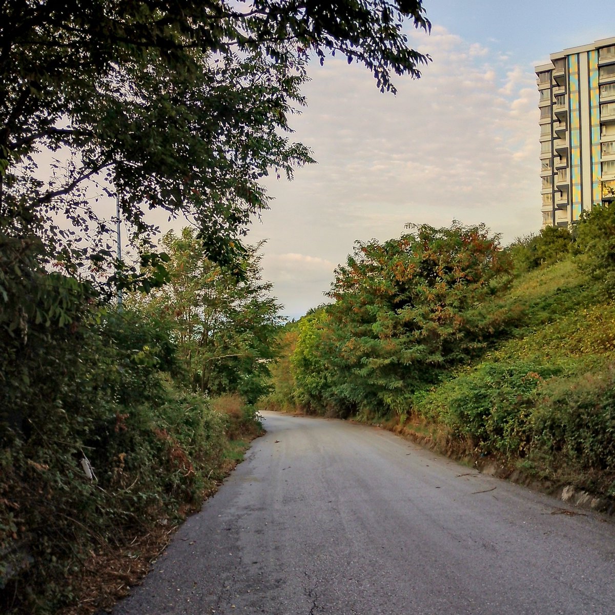 _snowflake25_'s tweet photo. Yürüyüş🤗 https://t.co/f4NeykrX9F