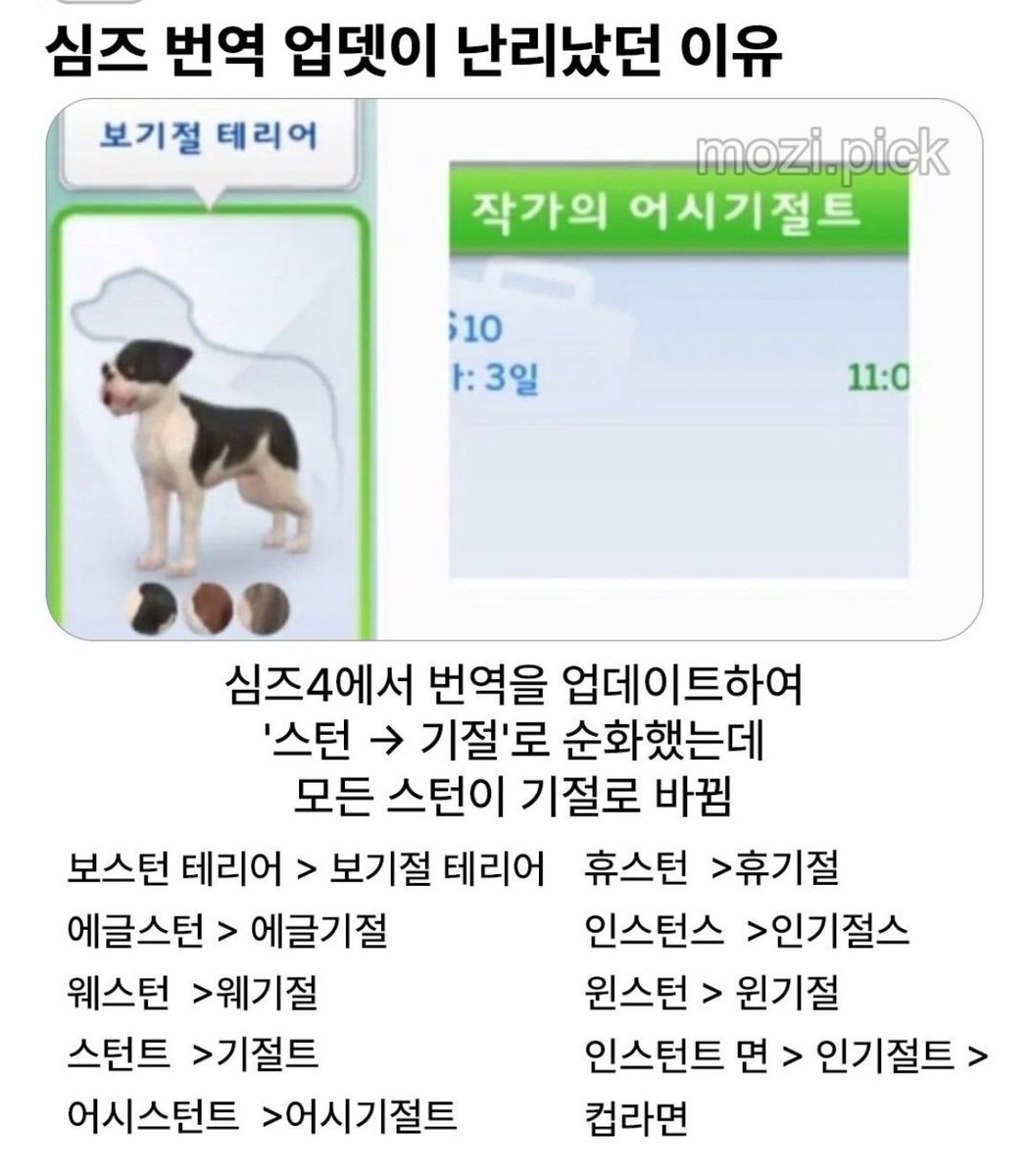 fatass_hedgehog's tweet photo. 이름이 기절로 바뀌는 스턴 https://t.co/0Z5WYSQEzO