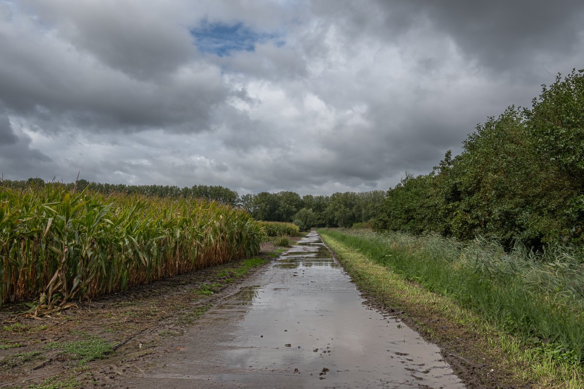 MarcWezema75157's tweet photo. #vrtweer #weerfoto #wolken #nikonphotography #weatherphotography @meteoBram #Kastel 11u20 https://t.co/m0v7vgVmPK