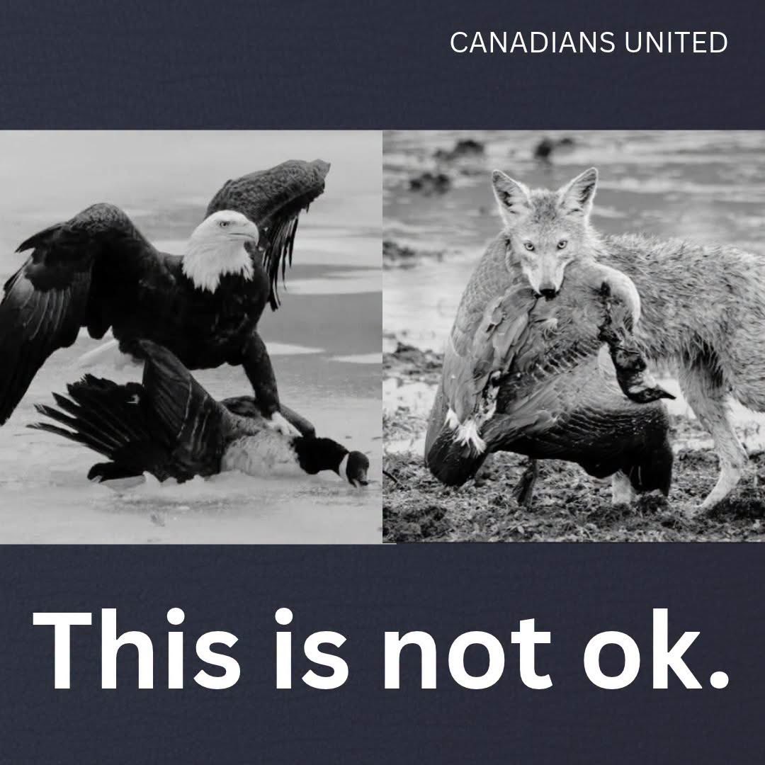 rshereme's tweet photo. We are dealing with some seriously twisted people.

From a Canadian perspective, I have to say: this is not normal.

Look at what is being put out through official U.S. government channels. One picture was posted by the White House. Another came from the U.S. Department of the Interior press. These aren’t random people on the internet. These are official institutions of the United States government, speaking to the world on behalf of the American state.

And as a Canadian, I find that deeply disturbing. Because the whole world is watching this. Not just Canadians. Not just Americans.

All of us.

People around the world are watching how the United States chooses to use its enormous political power, its influence, and its institutions.

I don’t believe I’ve ever seen another country engage in this kind of openly vindictive rhetoric in quite this way. Not Russia. Not China. Not even North Korea.

For generations, Canadians have looked to the United States as our closest neighbour, our largest trading partner, and one of the world’s most influential democracies. We may disagree with American governments, and Canadians certainly have plenty of opinions about American politics, but there has always been an expectation that, beneath the political battles, there was a certain standard of conduct.

This feels like something different.

There is a difference between defending your country and taking pleasure in humiliating someone. There is a difference between strong rhetoric and rhetoric that appears designed specifically to hurt, provoke, and degrade.

There is a difference between protecting your own country and wanting to tear down another for no reason.

It wasn’t enough to drive in the knife; they had to twist it too.

And from outside the United States, it is difficult to watch this and understand how anyone can consider it appropriate for a government to behave this way. This isn’t about being Canadian versus American. It isn’t about left versus right. It isn’t even about whether you agree with the person being targeted.

It’s about standards.

If a foreign government behaved this way, many of the same people would be outraged. They would call it cruel, undignified, or authoritarian, and rightfully so.

Canada and the United States have had disagreements for generations. We have argued over trade, foreign policy, borders, energy, defence, and countless other issues. But disagreement between neighbours does not require contempt for one another.

In fact, precisely because Canada and the United States are so closely connected, what happens there matters enormously to us.

Anybody who thinks this is acceptable behaviour simply because it is coming from “their side” has lost the plot.

Because governments are supposed to represent more than anger, vengeance, and political tribalism.They are supposed to represent their people.

And I would hope that Americans, regardless of their political beliefs, can still recognize the difference between strength and cruelty.

The whole world is watching.

And what they are seeing is not strength.

It’s something much uglier.

Source: Canadian United