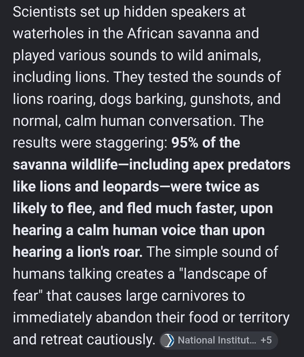 Italian347's tweet photo. Despite humans not looking too scary as baseline, we are utterly terrifying to even the largest predators around. 

Even ones who have never seen people using guns, or large scale human technology, inherently understand humans as the most dangerous of predators https://t.co/9fN4yn7flb