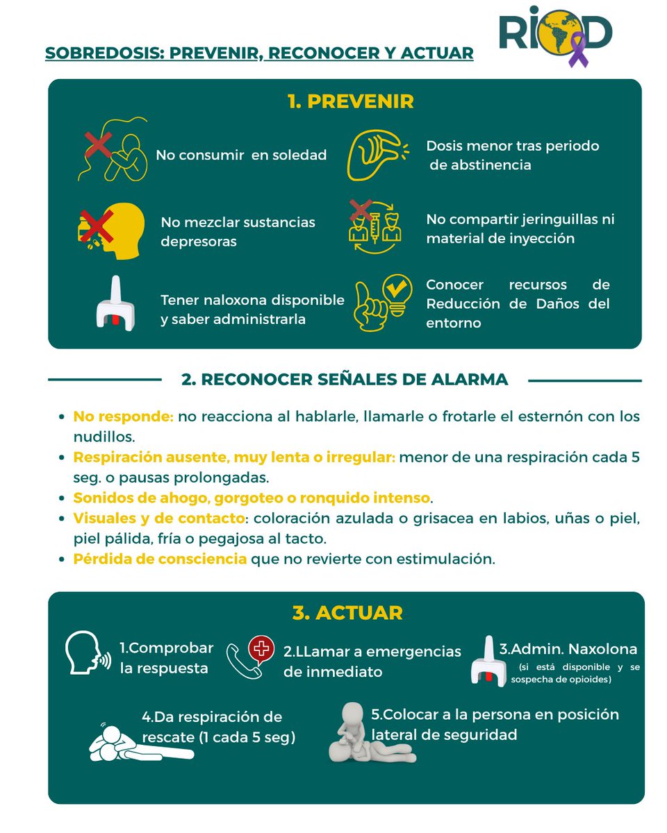 RIOD_oficial's tweet photo. Hoy es el 25 aniversario del Día Internacional de Concientización sobre la Sobredosis y debemos recordar que la sobredosis se puede prevenir, reconocer y actuar a tiempo. Les dejamos algunas claves en la infografía👉. #IOAD2026 #Sobredosis https://t.co/Els5GRIMjq