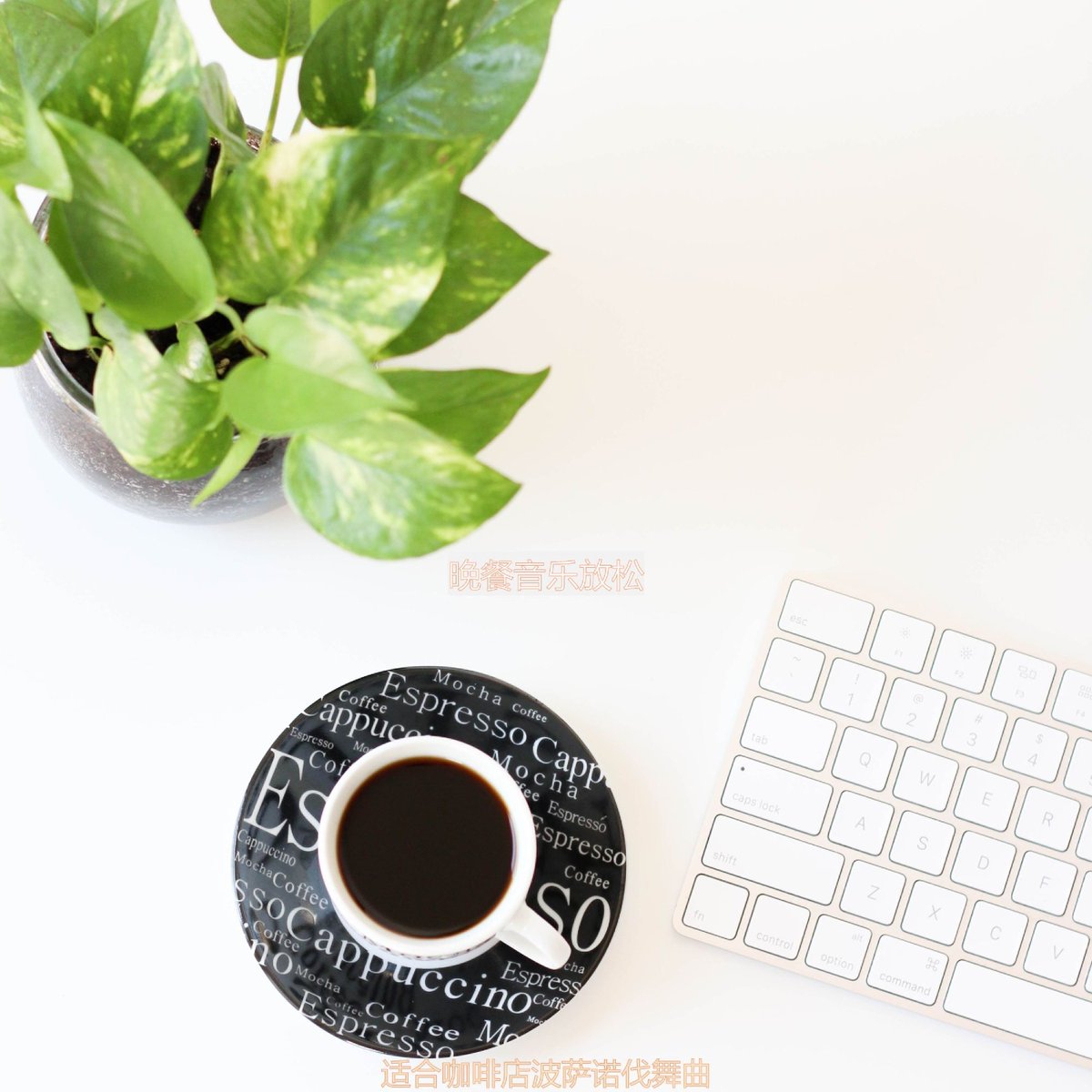 erickinmen's tweet photo. Just caught my desk plant side-eyeing my 4th instant coffee today like “Really You said that yesterday.” https://t.co/qbPzUgZ6ky